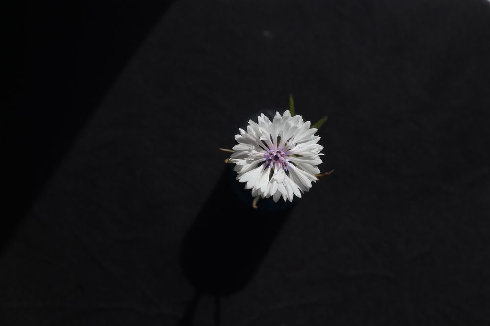 Photograph by Елена Змейкова