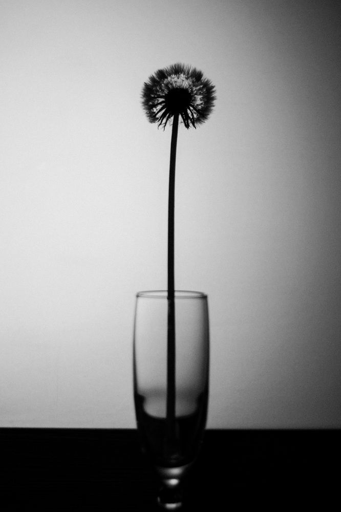 Photograph by Татьяна Бойцова
