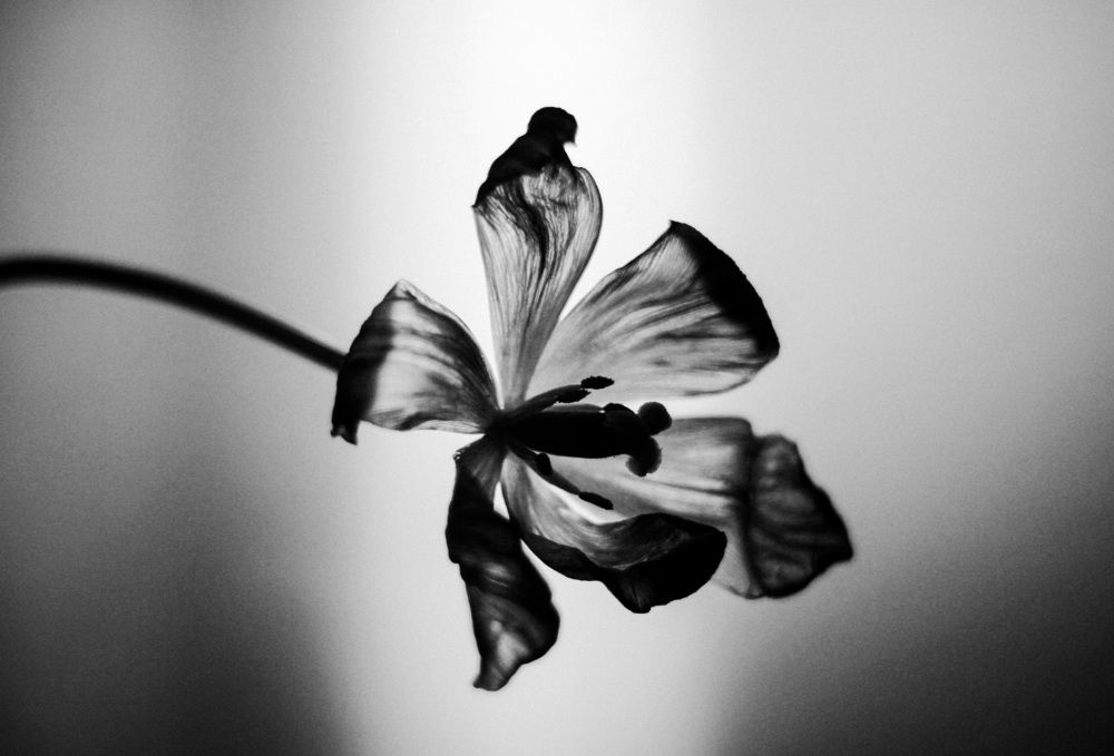 Photograph by Татьяна Бойцова