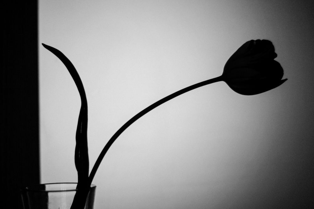 Photograph by Татьяна Бойцова