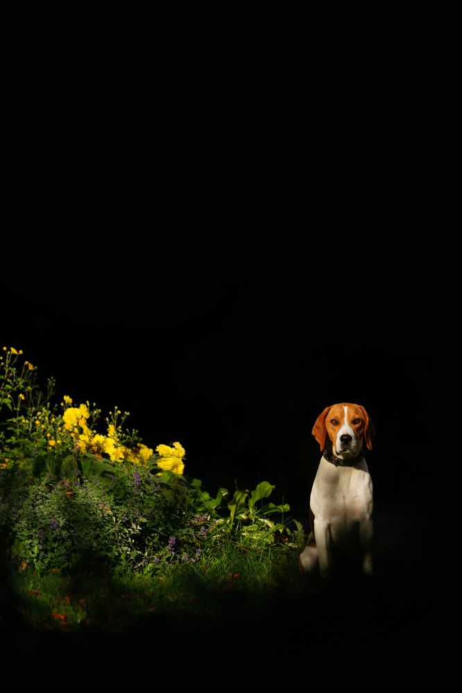 Photograph by Марина Аникина