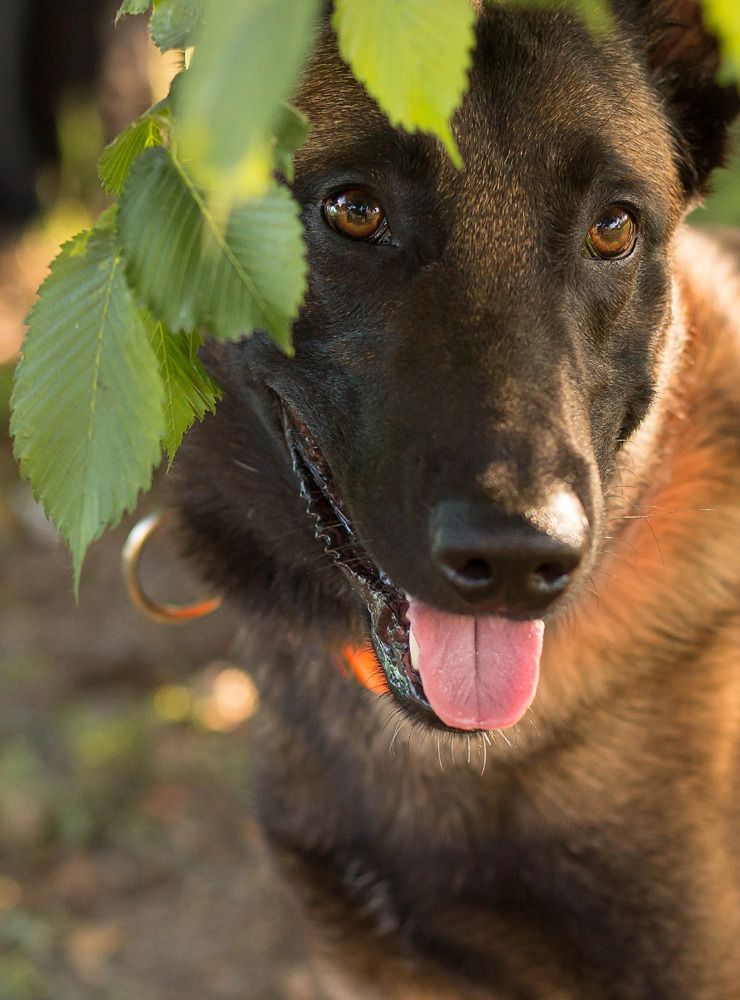 Photograph by Наталья Гашинская