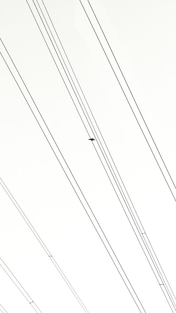 Photograph by 喻 子俊