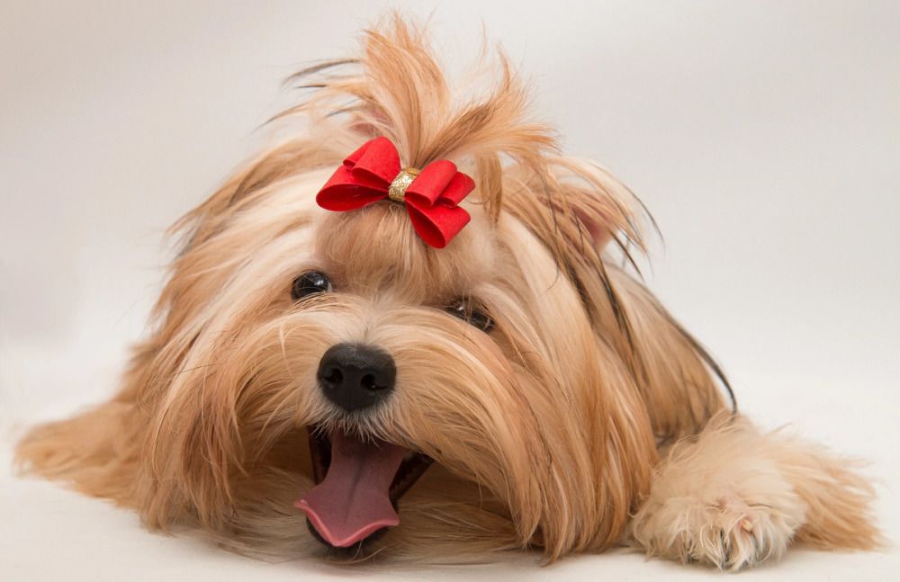 Photograph by Наталья Гашинская