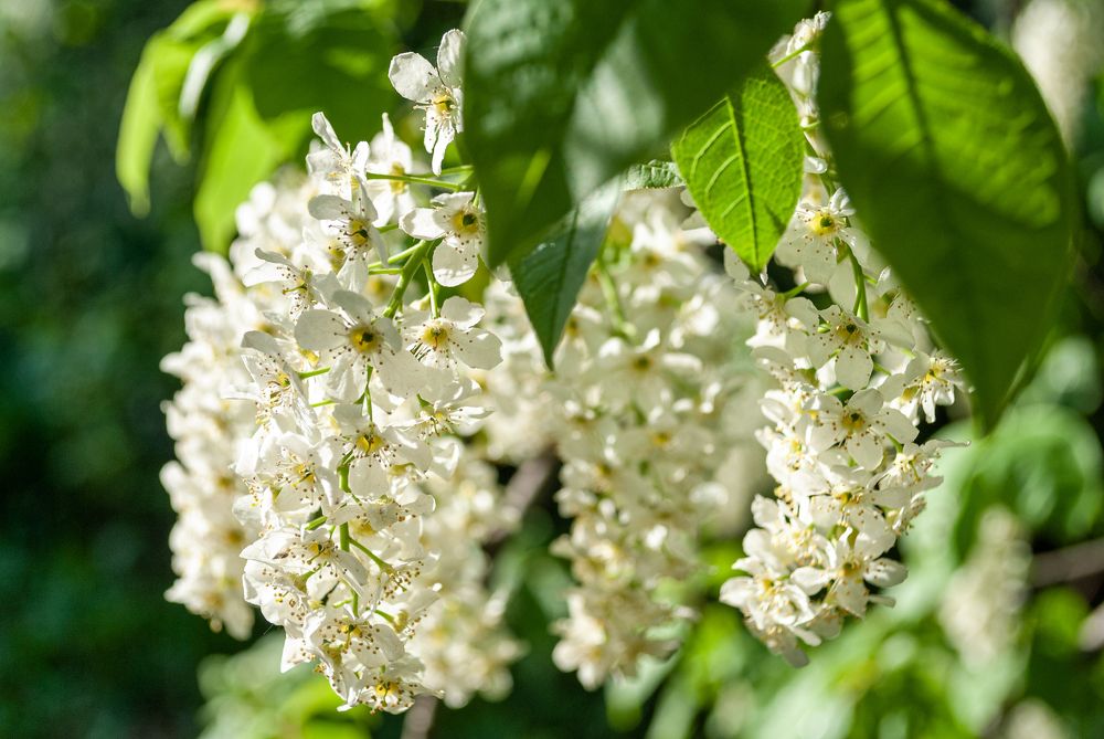 Photograph by Галина Патрушева