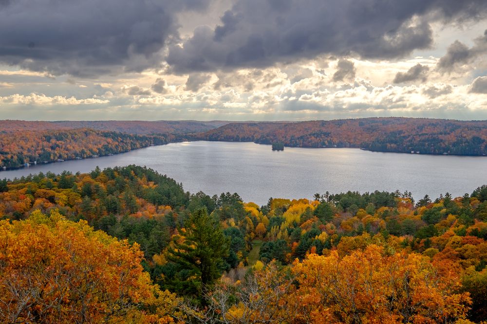 Photograph by Greg Noakes