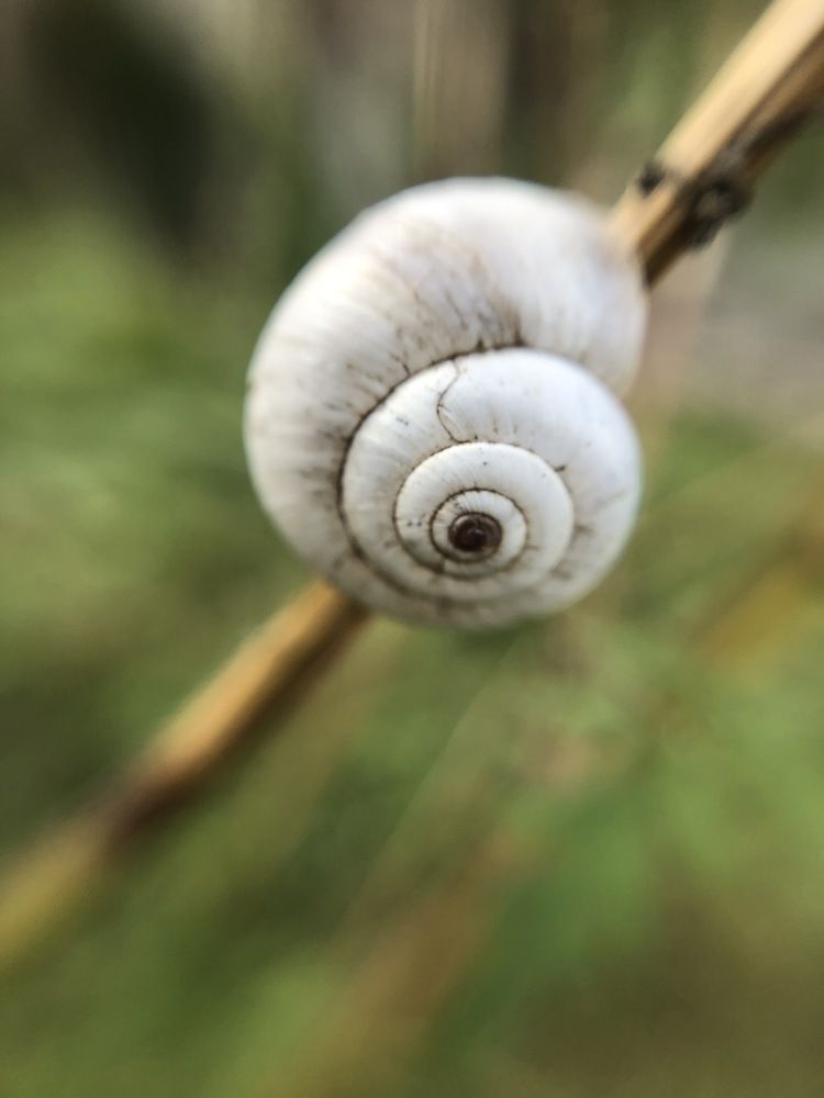 Photograph by Яна Цицилашвили