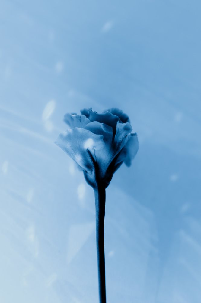 Photograph by Дарья Макарова