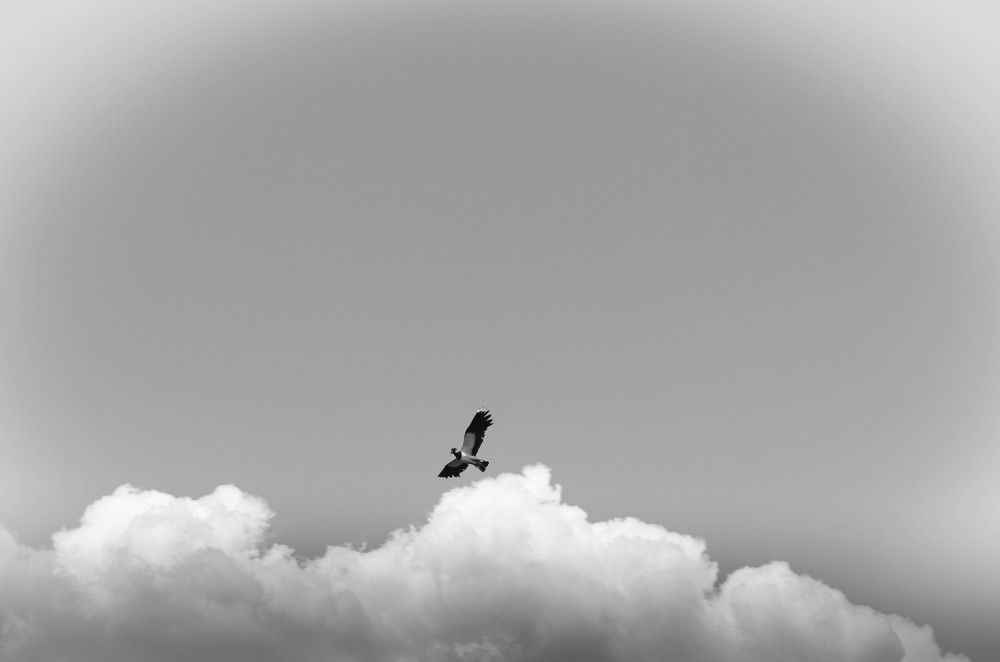 Photograph by Александр Редько