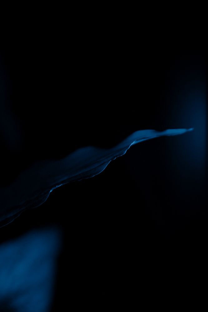 Photograph by Дарья Макарова