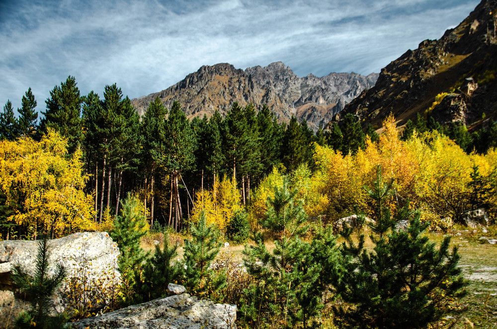 Photograph by Николай Морозов