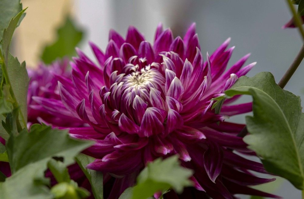 Photograph by Марина Вильдяева