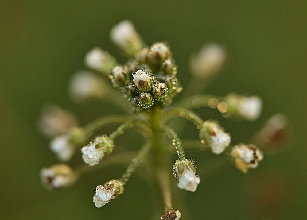 Photograph by Елена Одынец