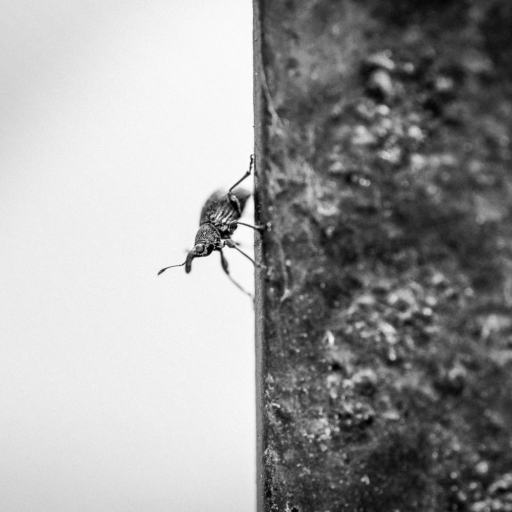 Photograph by Ирина Протченко