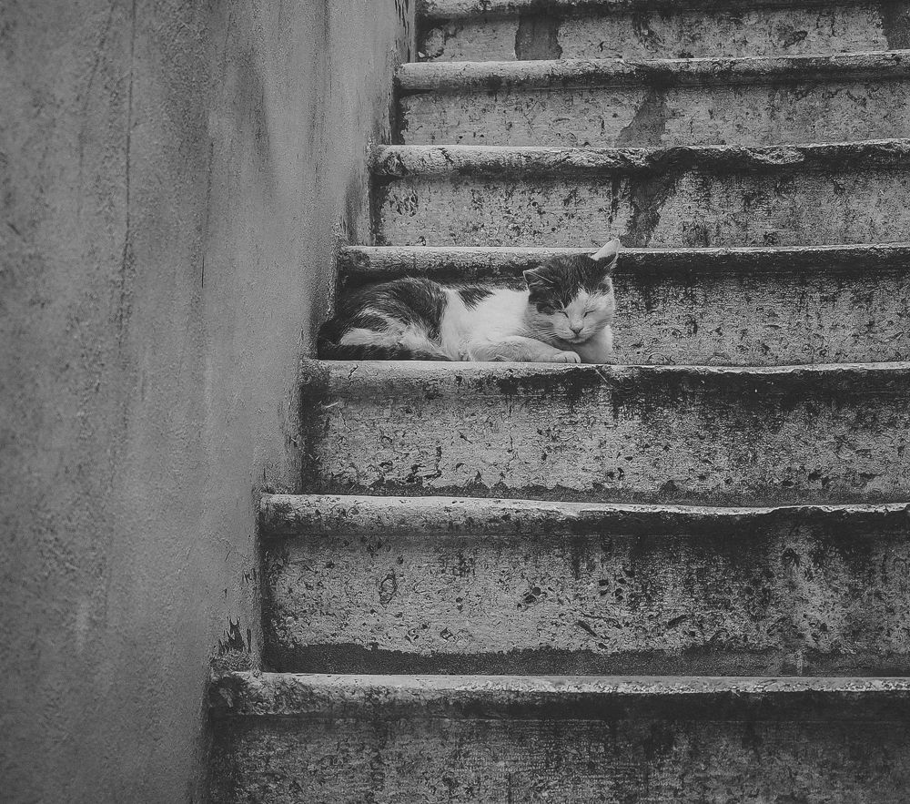 Photograph by Ирина Протченко