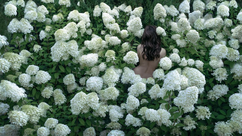 Photograph by Алина Еникеева