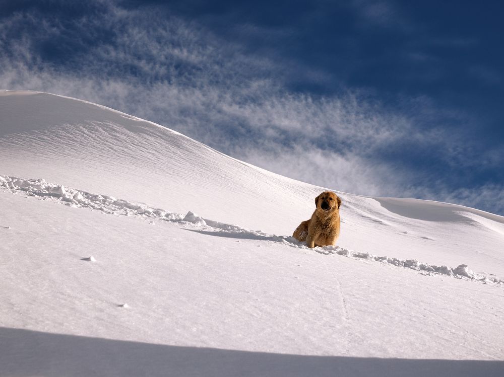 Photograph by Evgeniy Savikov