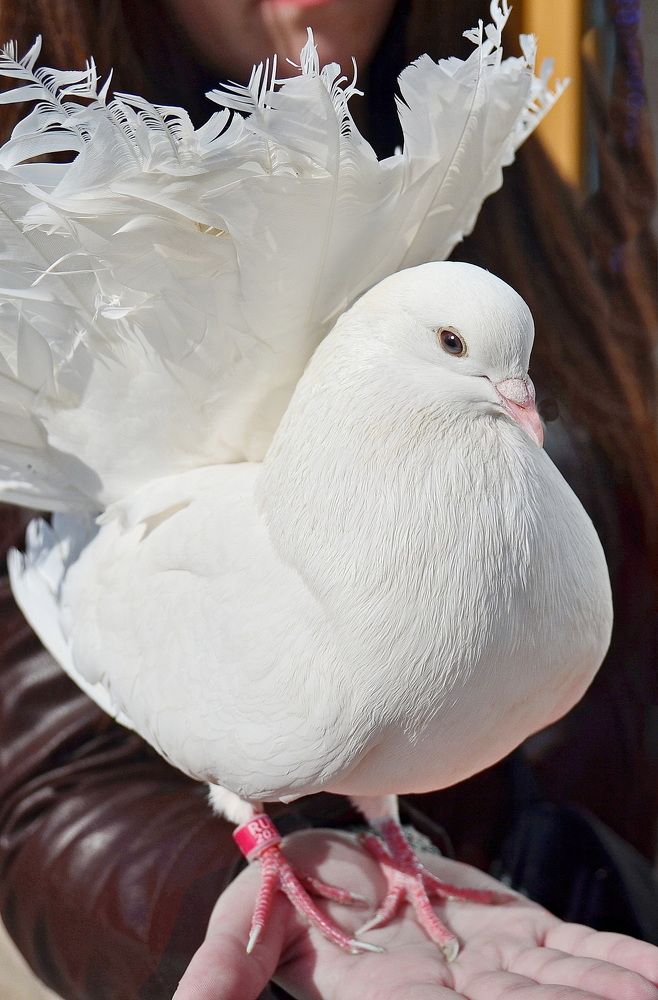 Photograph by Лидия Ушакова