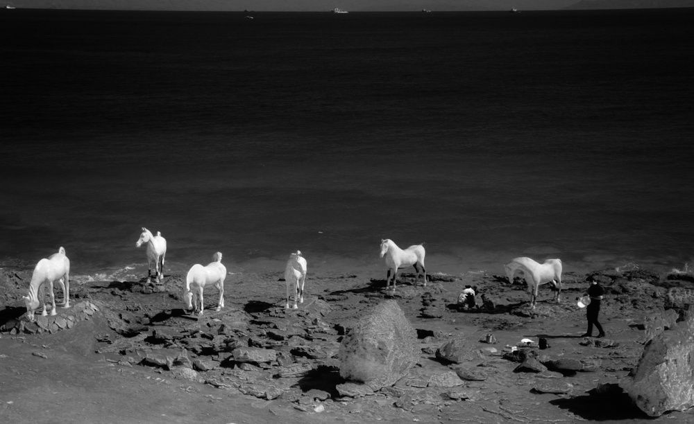 Фотография автора Mohammad davarpanah