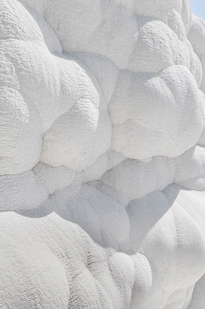 Фотография автора Вероника Черепанова