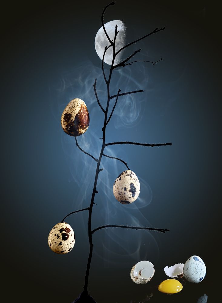 Photograph by Aleksandr Belov