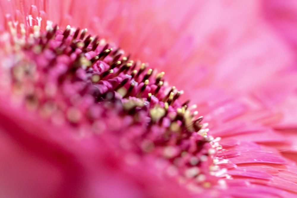 Photograph by Arindam Banerjee