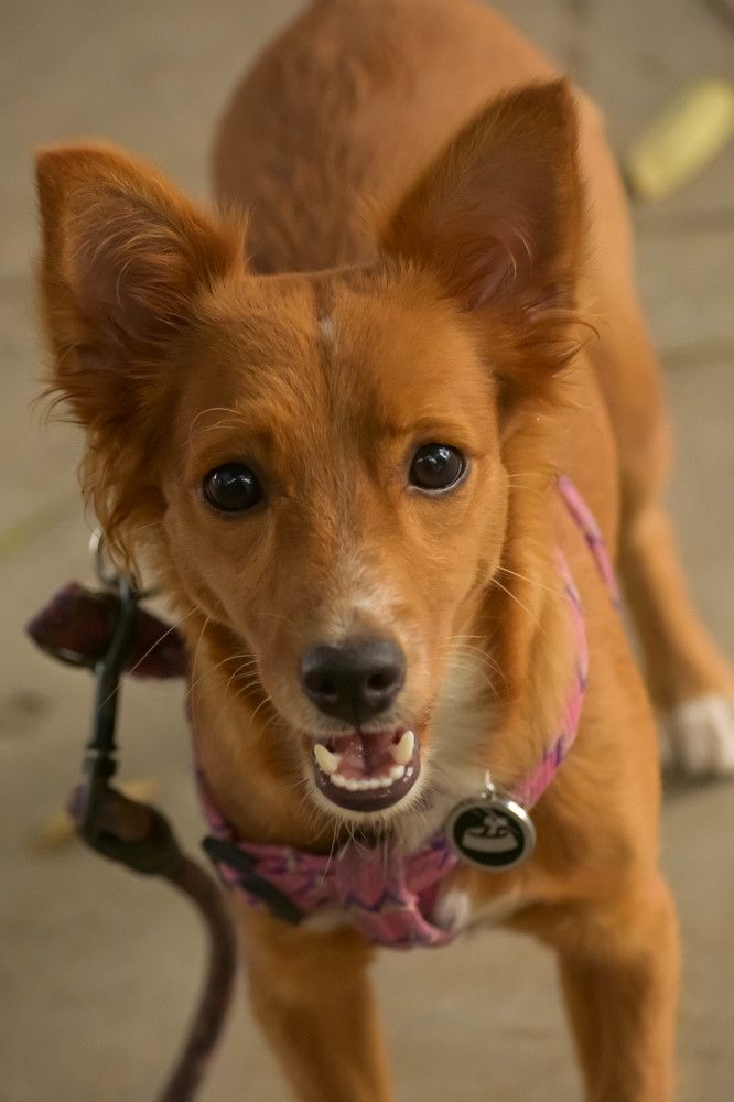 Photograph by Luis Alfredo Morales Torres