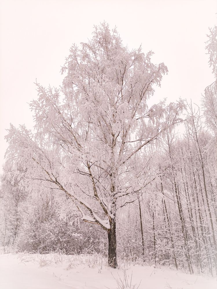 Фотография автора Александр Хухлов