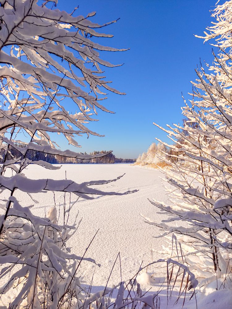 Фотография автора Александр Хухлов