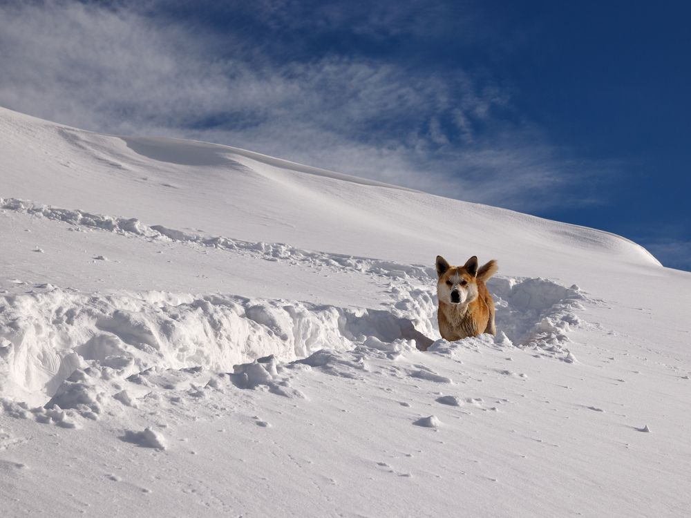 Photograph by Evgeniy Savikov