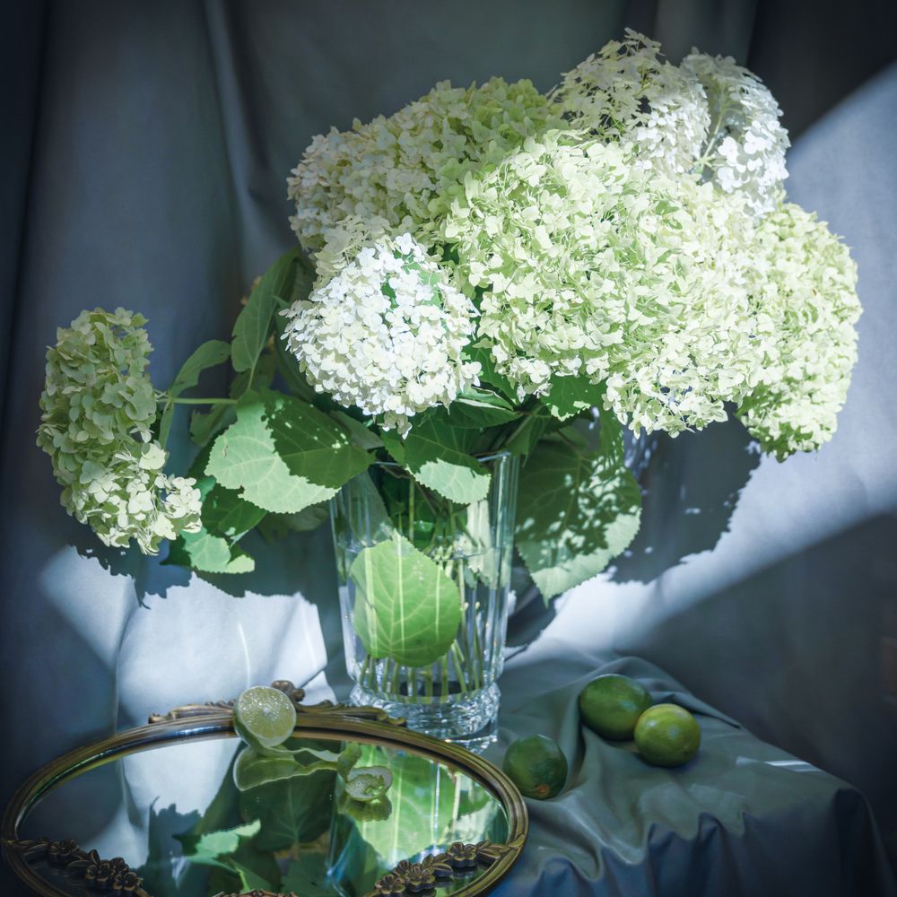 Photograph by Алина Еникеева