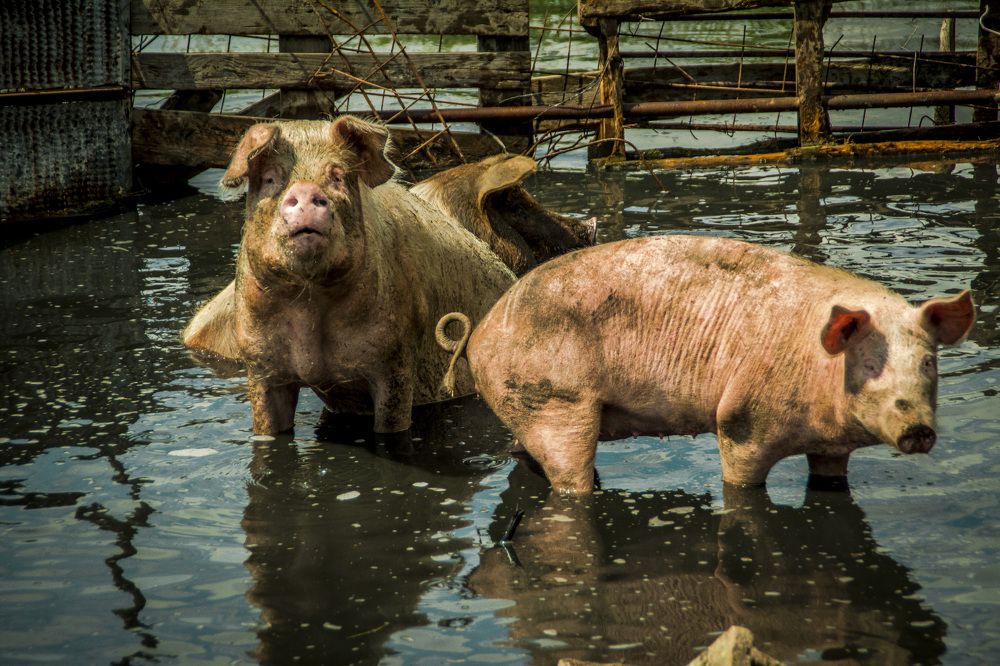 Photograph by Марина Канавченко