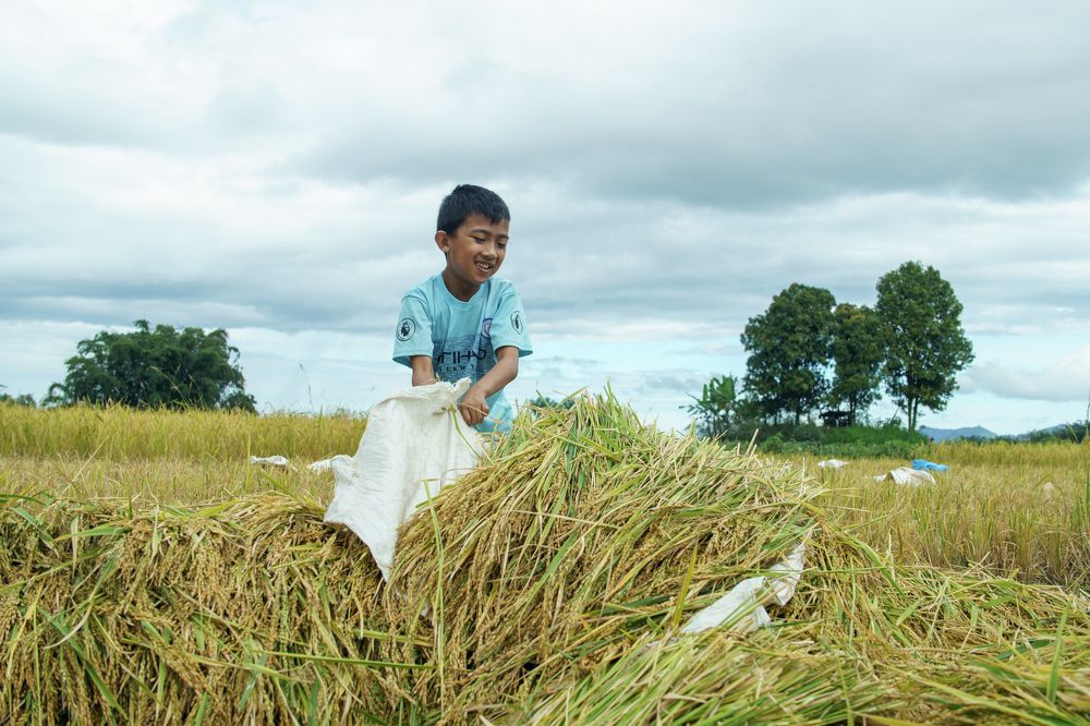 Photograph by Ali Froghi