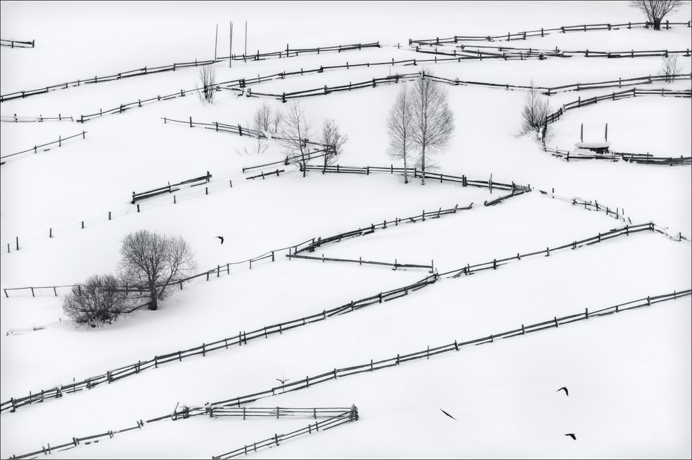 Photograph by Влад Соколовский