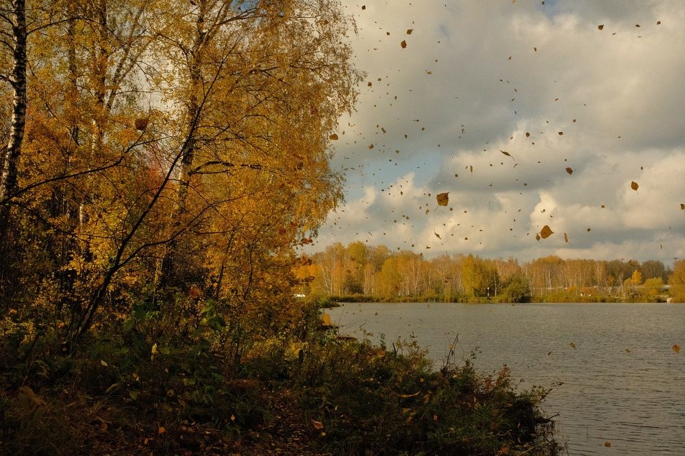 Photograph by Yulia Yuzhakova