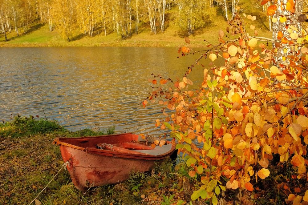 Photograph by Yulia Yuzhakova