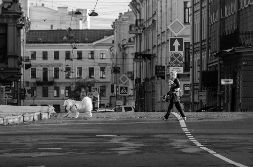 Раннее утро в Петербурге