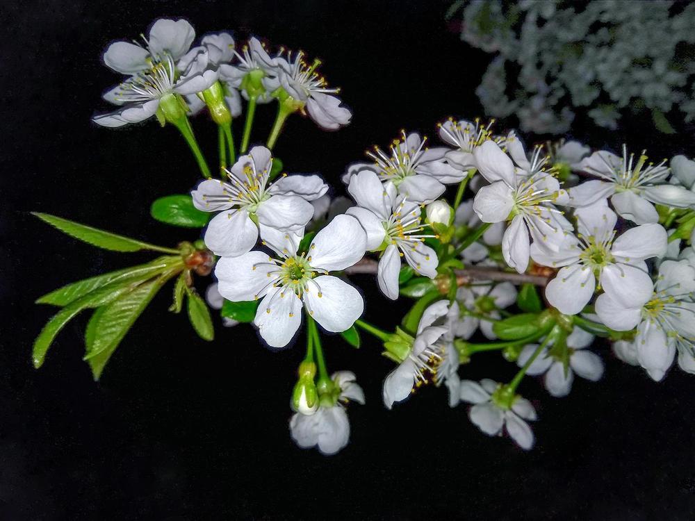 Photograph by Fantomas