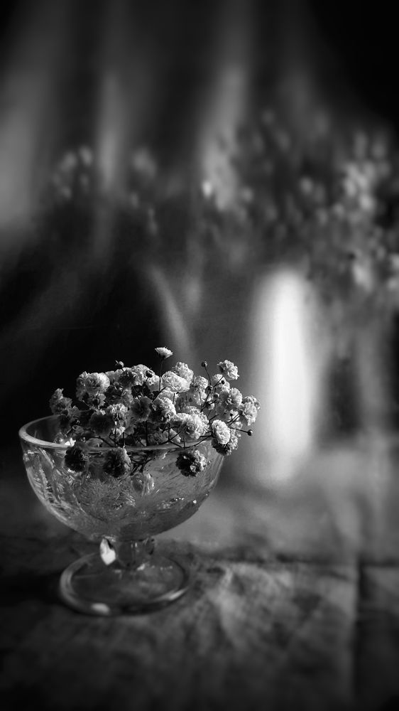 Photograph by Екатерина Мурсынина