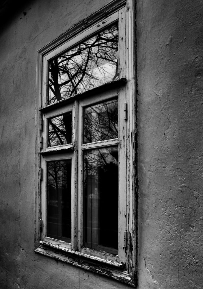 Photograph by Екатерина Мурсынина