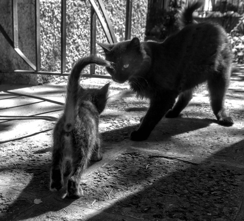 Фотография автора Milena Ivanova