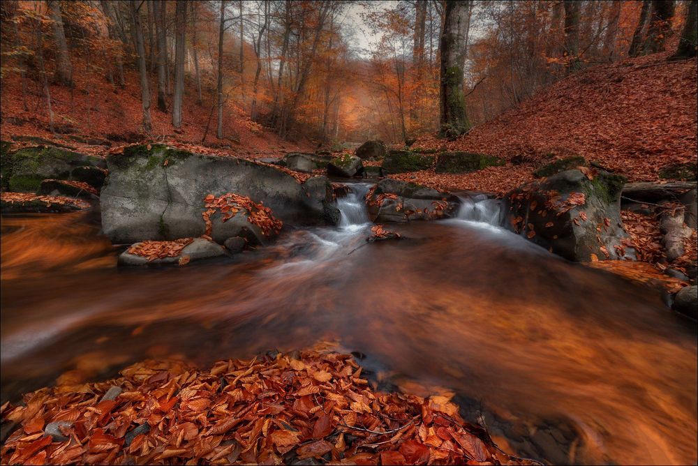 Photograph by Влад Соколовский