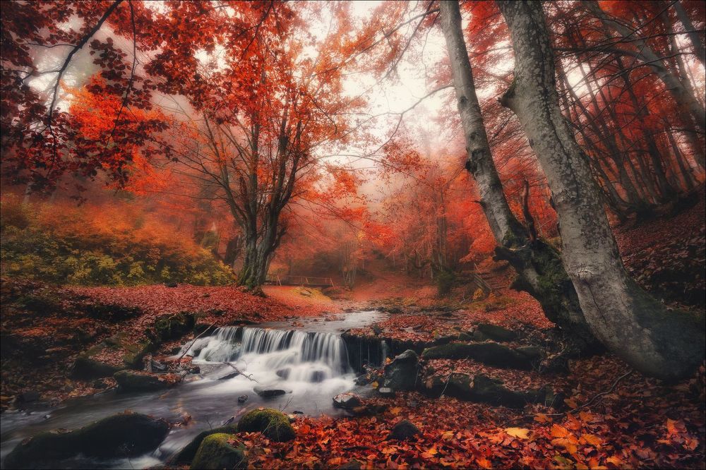 Photograph by Влад Соколовский