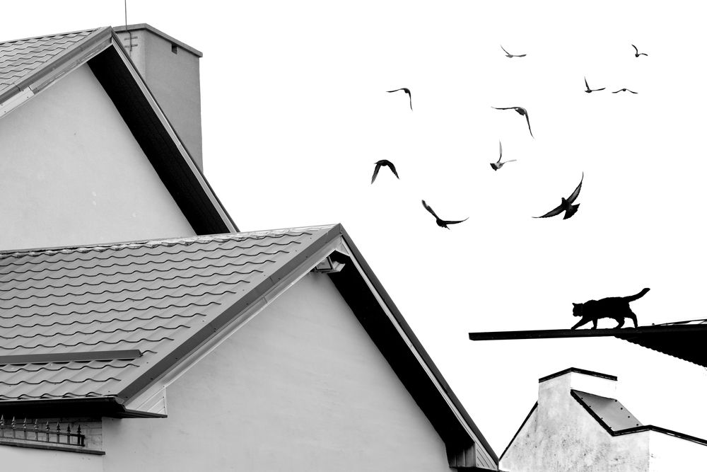 Photograph by Варвара Штерн