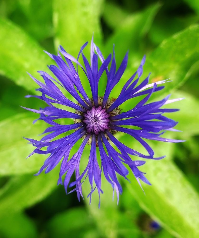 Photograph by Maiya Bulatova