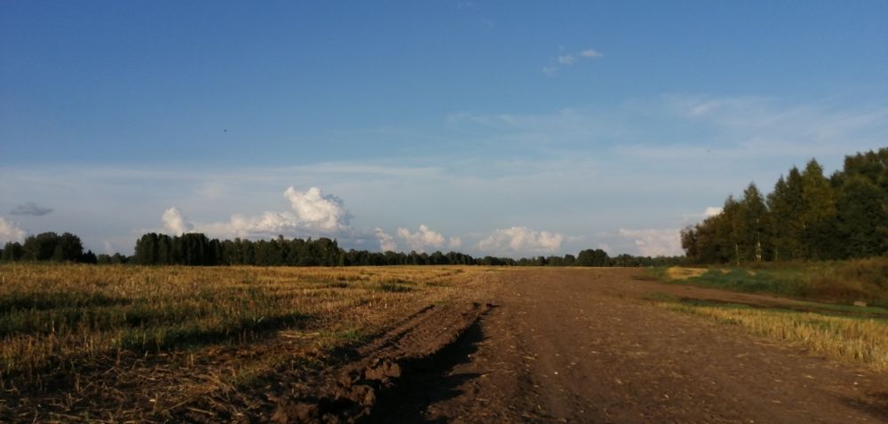 Photograph by Полина Родюкова