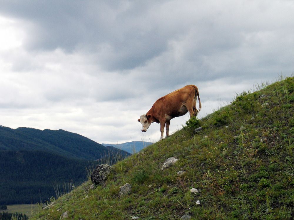 Photograph by Дмитрий Ткаченко