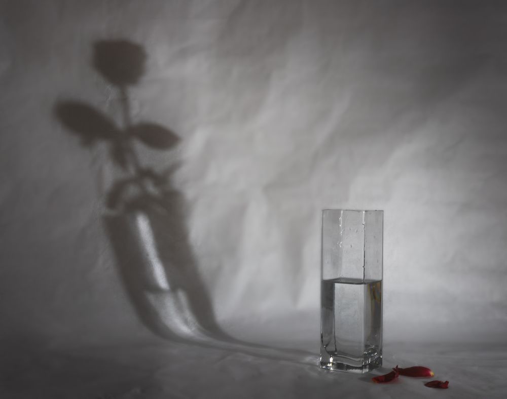 Photograph by Мария Камендова