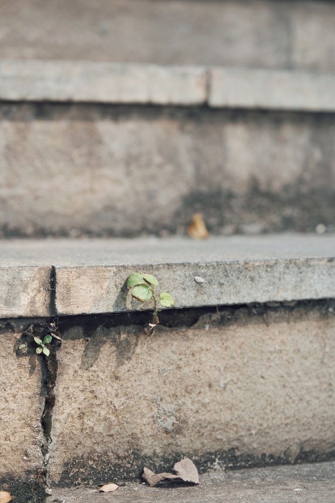 Photograph by Meilany Wijaya