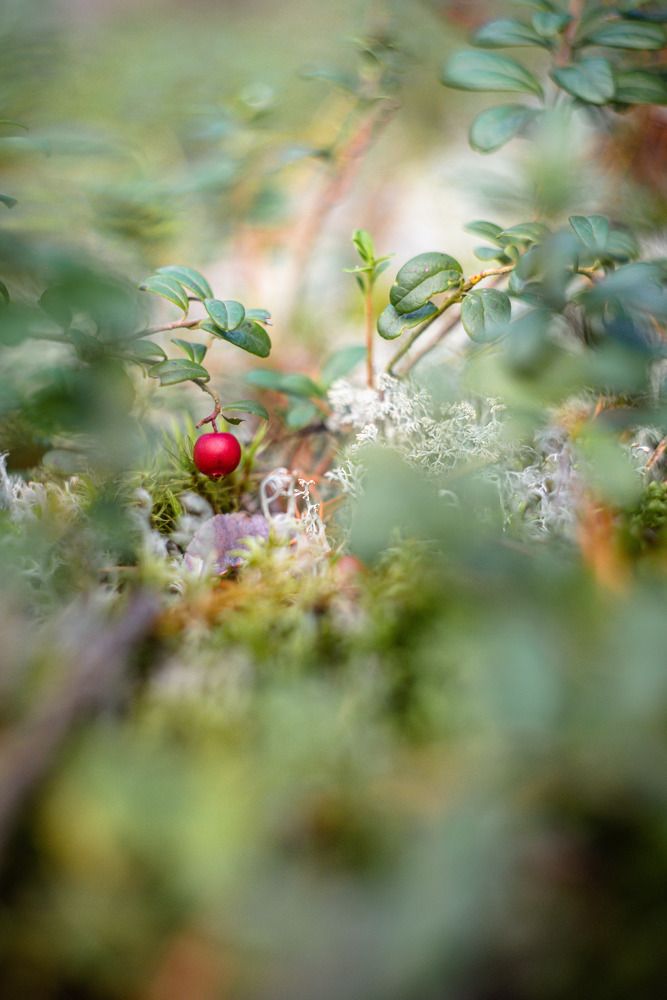 Photograph by Vera_PF